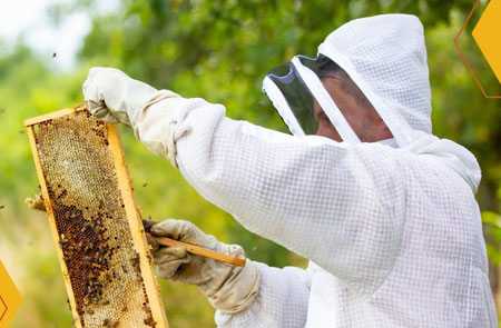 Beekeeping Jackets