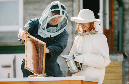 Beekeeping Suits